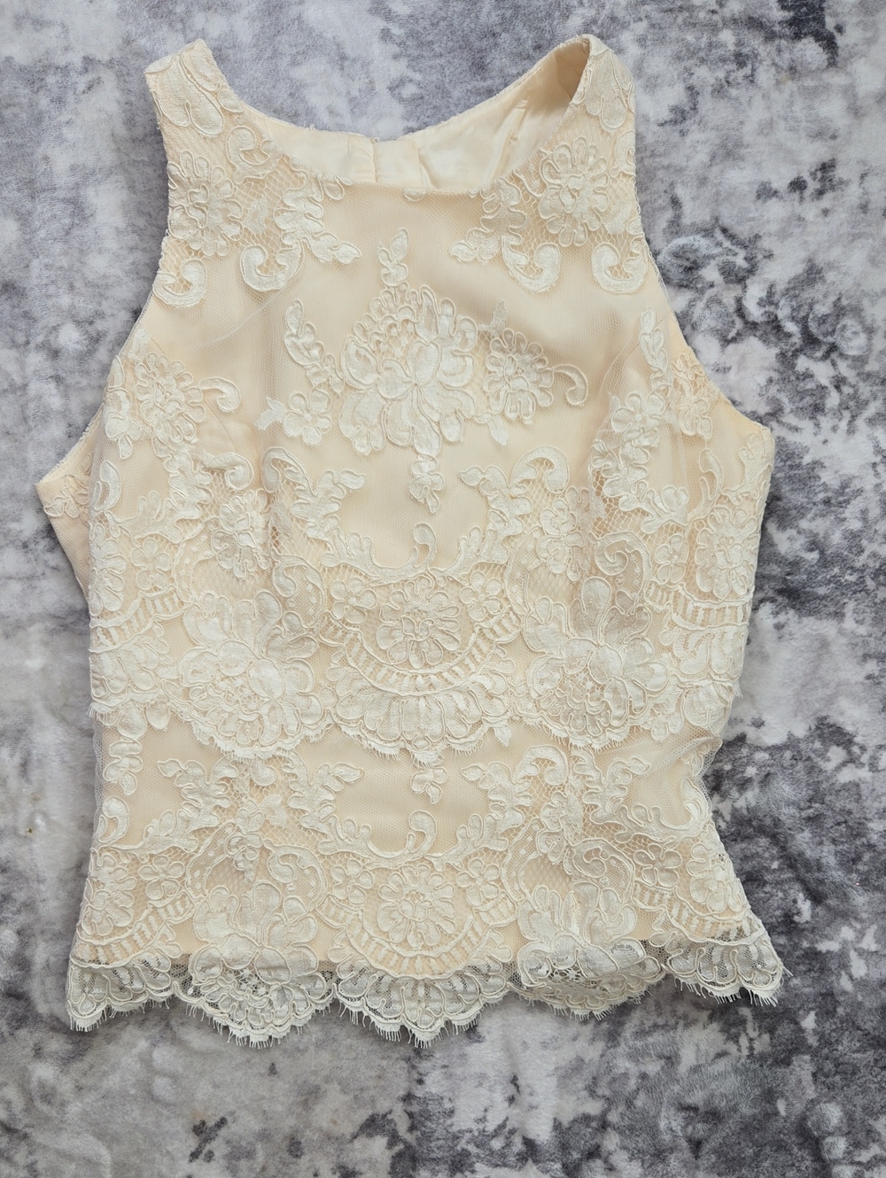 Watters And Watters Elegant Cream Lace High-Neck Camisole